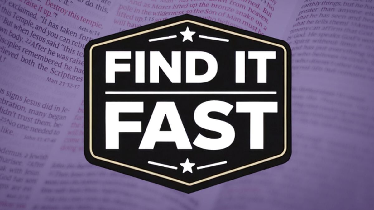 Find It Fast image number null